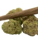 Frosted Biscotti [1g]